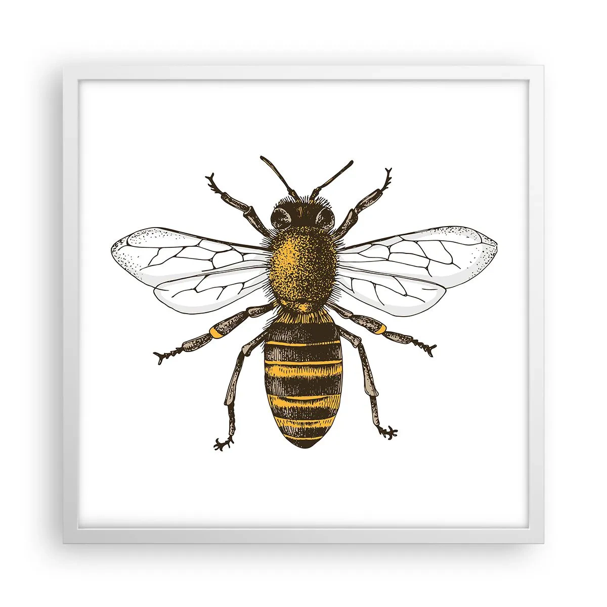 Poster in een witte lijst - Mooi en goed - 50x50 cm