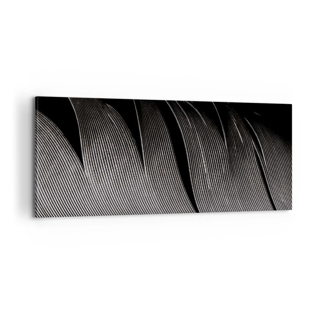 Schilderen op canvas - Een veer - prachtig ontwerp - 100x40 cm