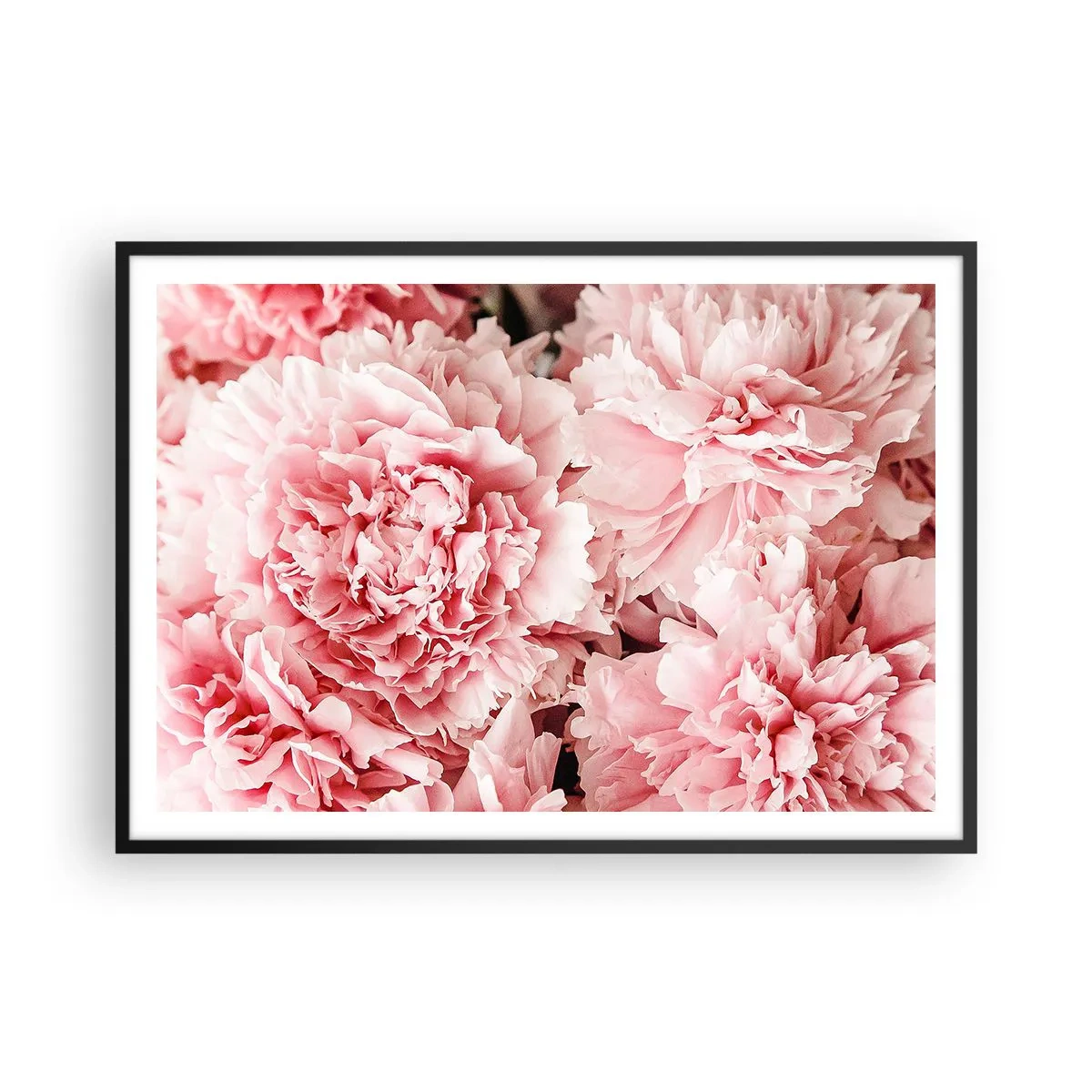 Poster in een zwarte lijst - Roze droom - 100x70 cm
