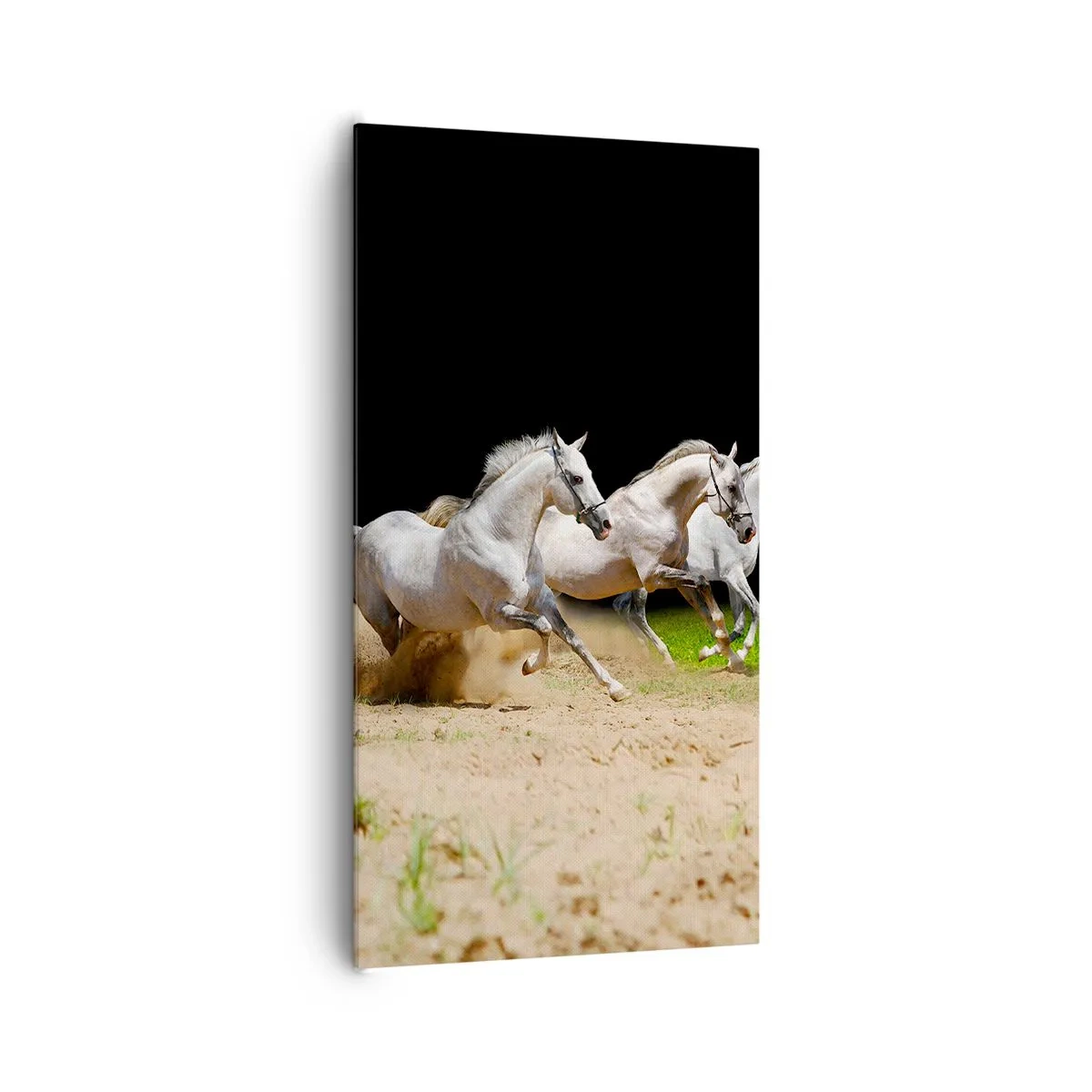 Schilderen op canvas - Drie Gratiën - 65x120 cm