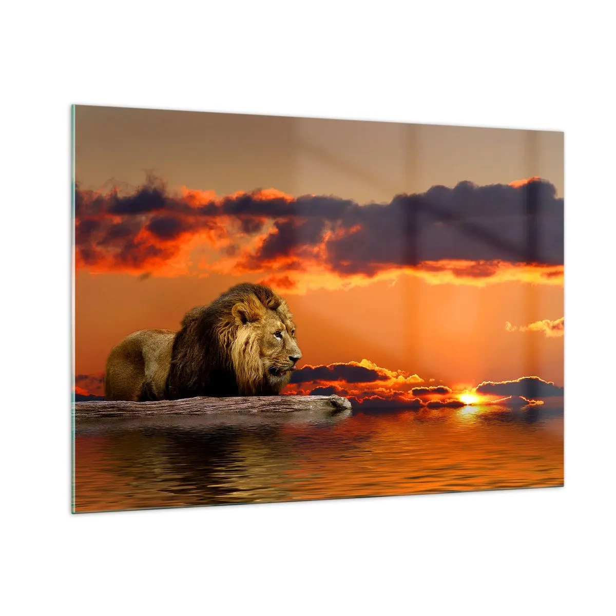Schilderen op glas - Koning van de natuur - 100x70 cm