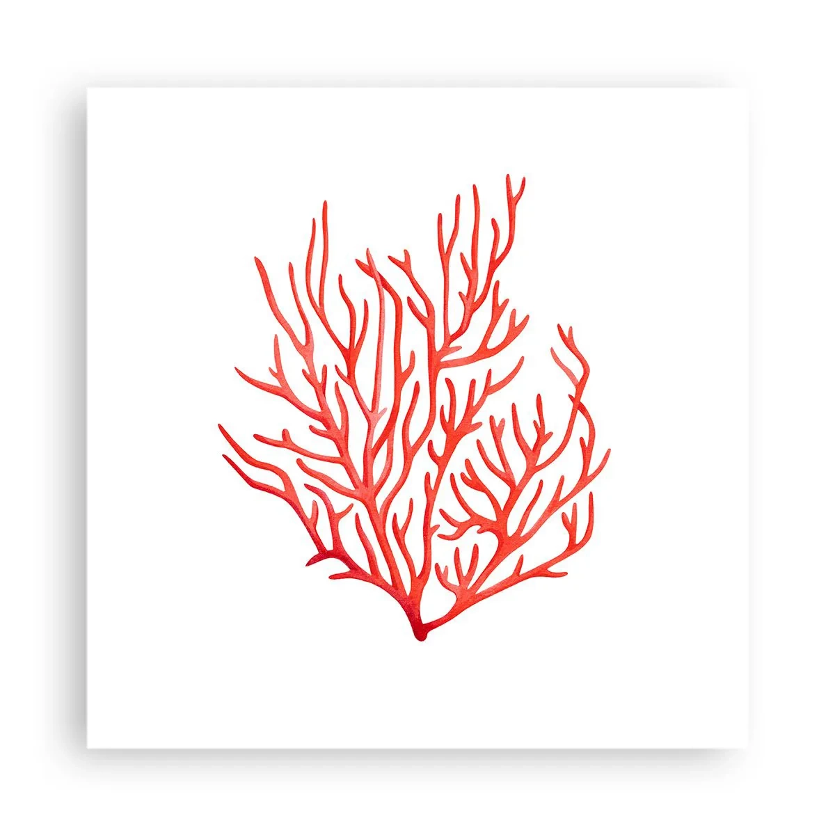Poster - Koraal filigraan - 40x40 cm