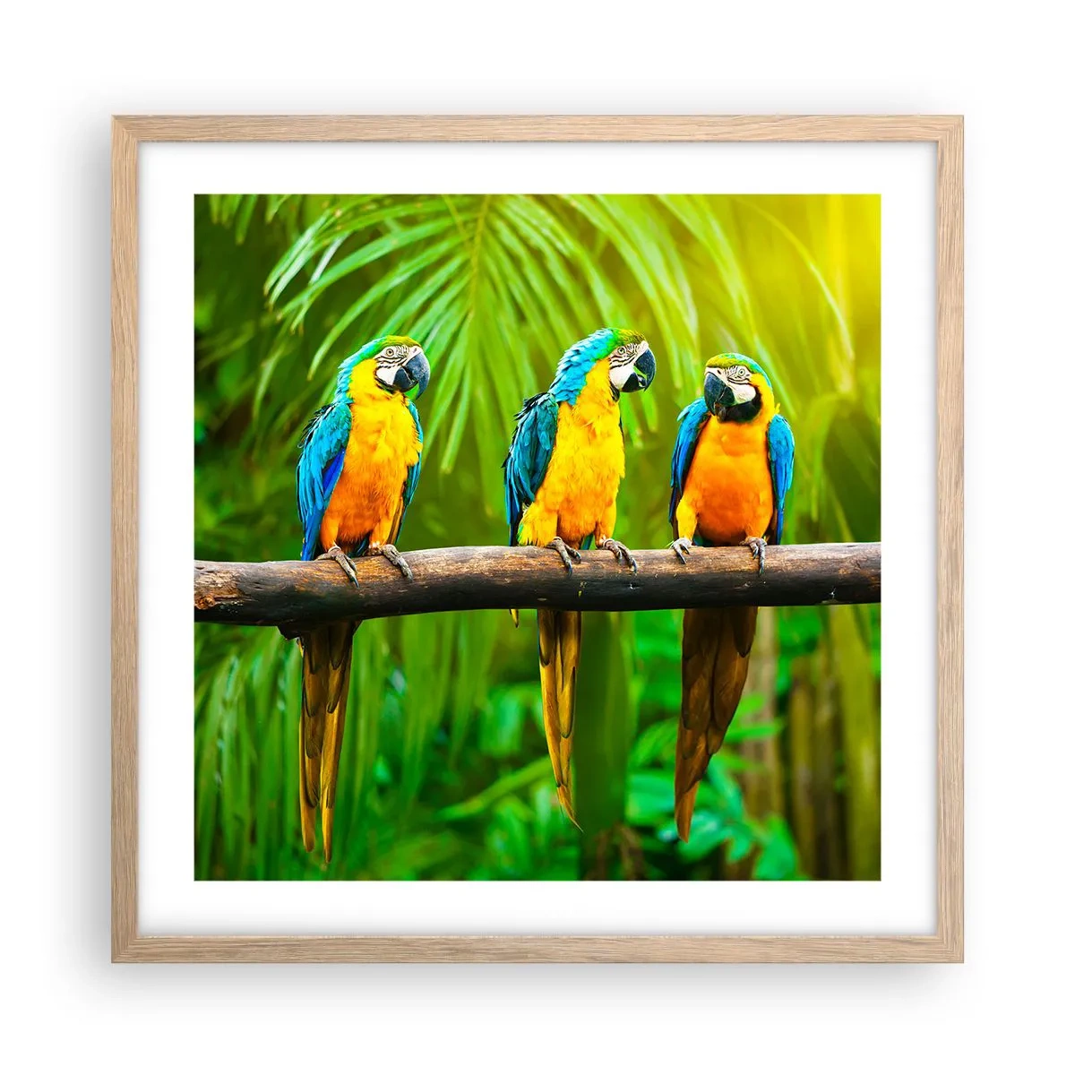 Een poster in een licht eiken lijst - En heb je gehoord dat ze...? - 50x50 cm