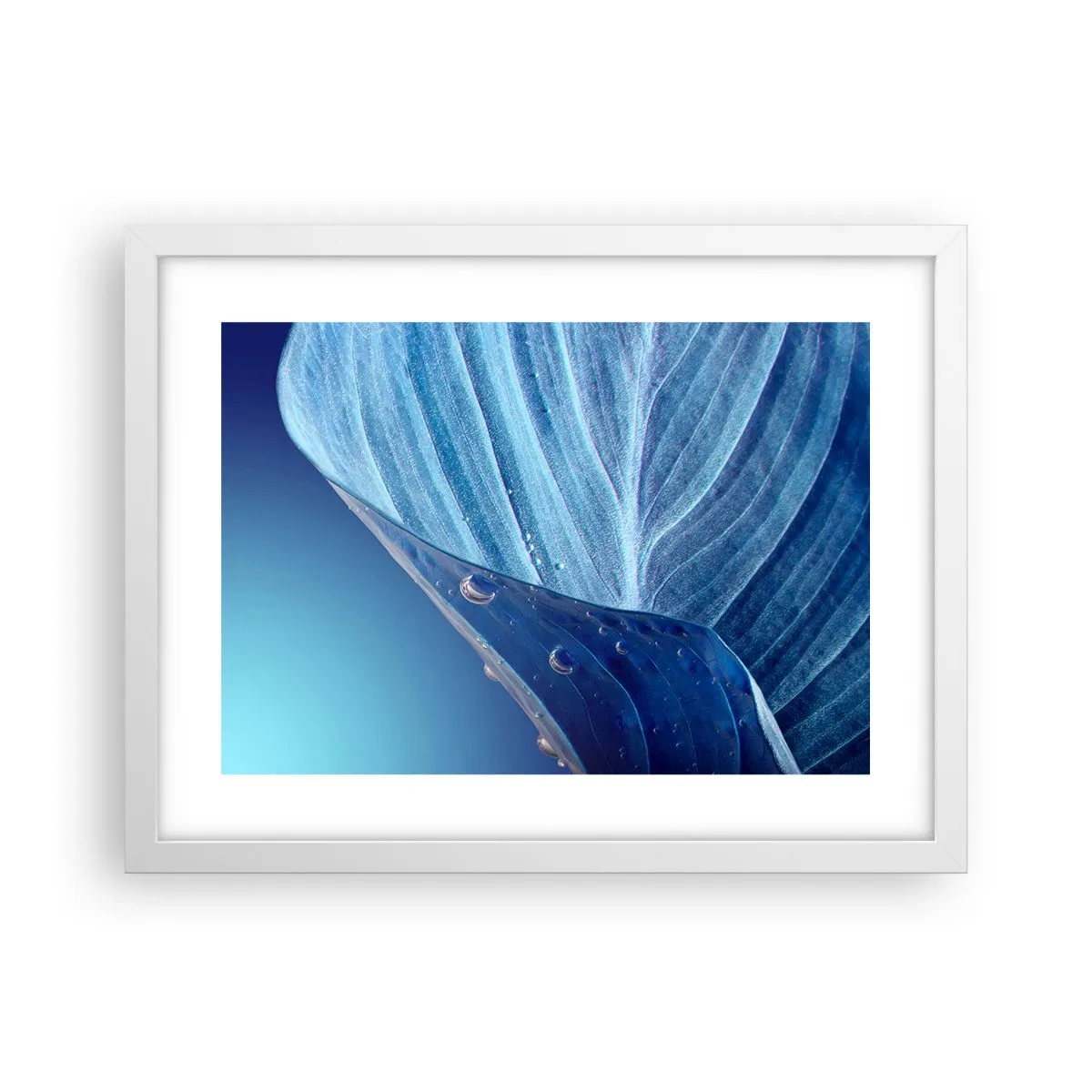 Poster in een witte lijst - Verborgen druppels blauw - 40x30 cm