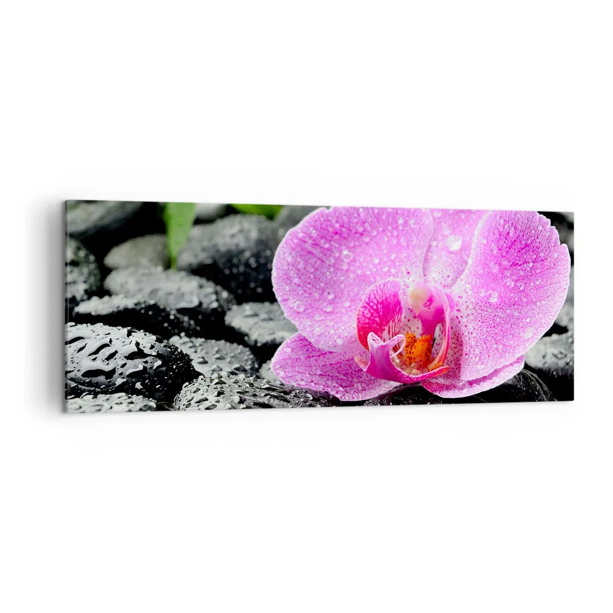 Schilderen op canvas - Als een open hart - 140x50 cm