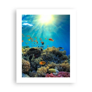 Poster - Onderwater schatten - 40x50 cm