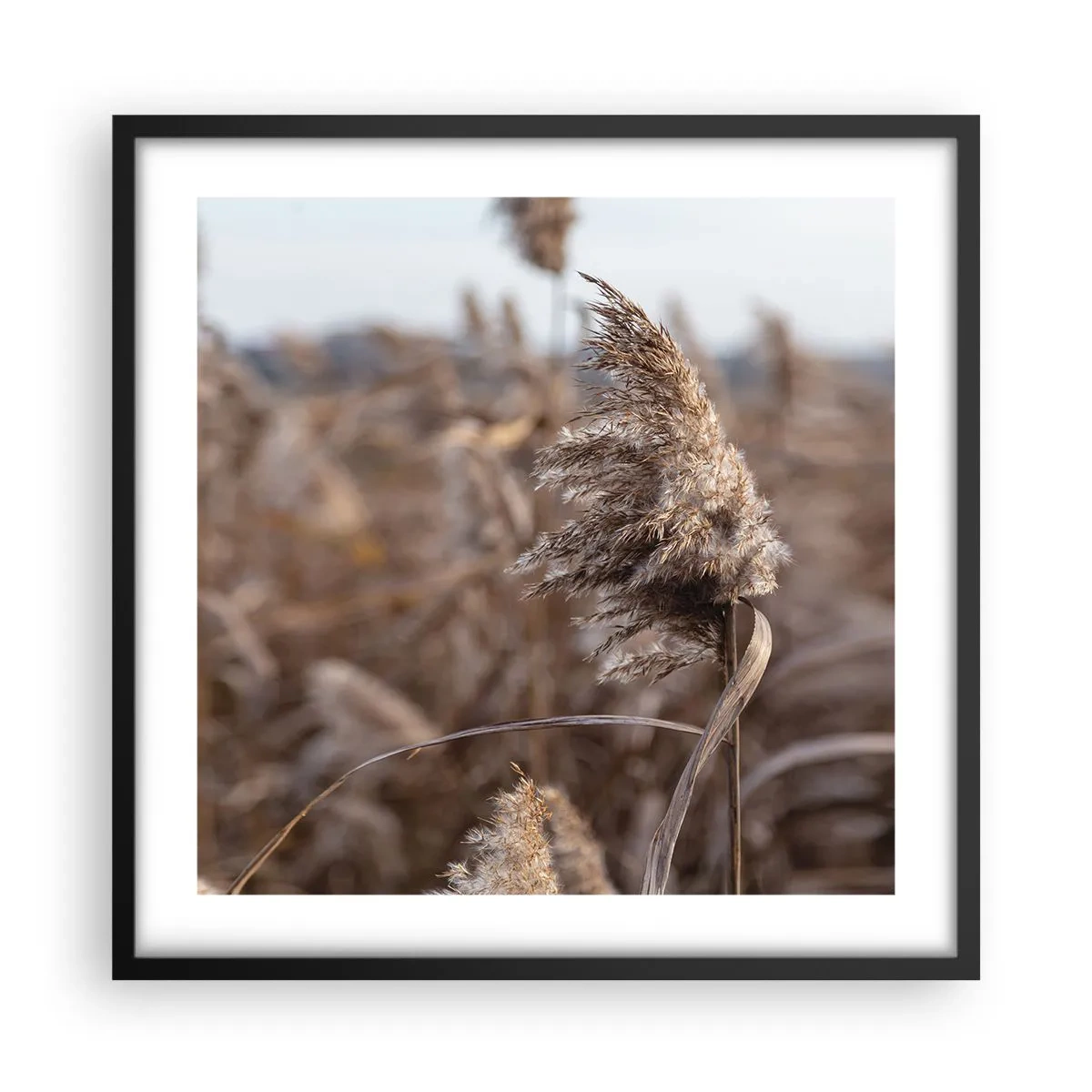 Poster in een zwarte lijst - Tijd om met de wind mee te gaan - 50x50 cm