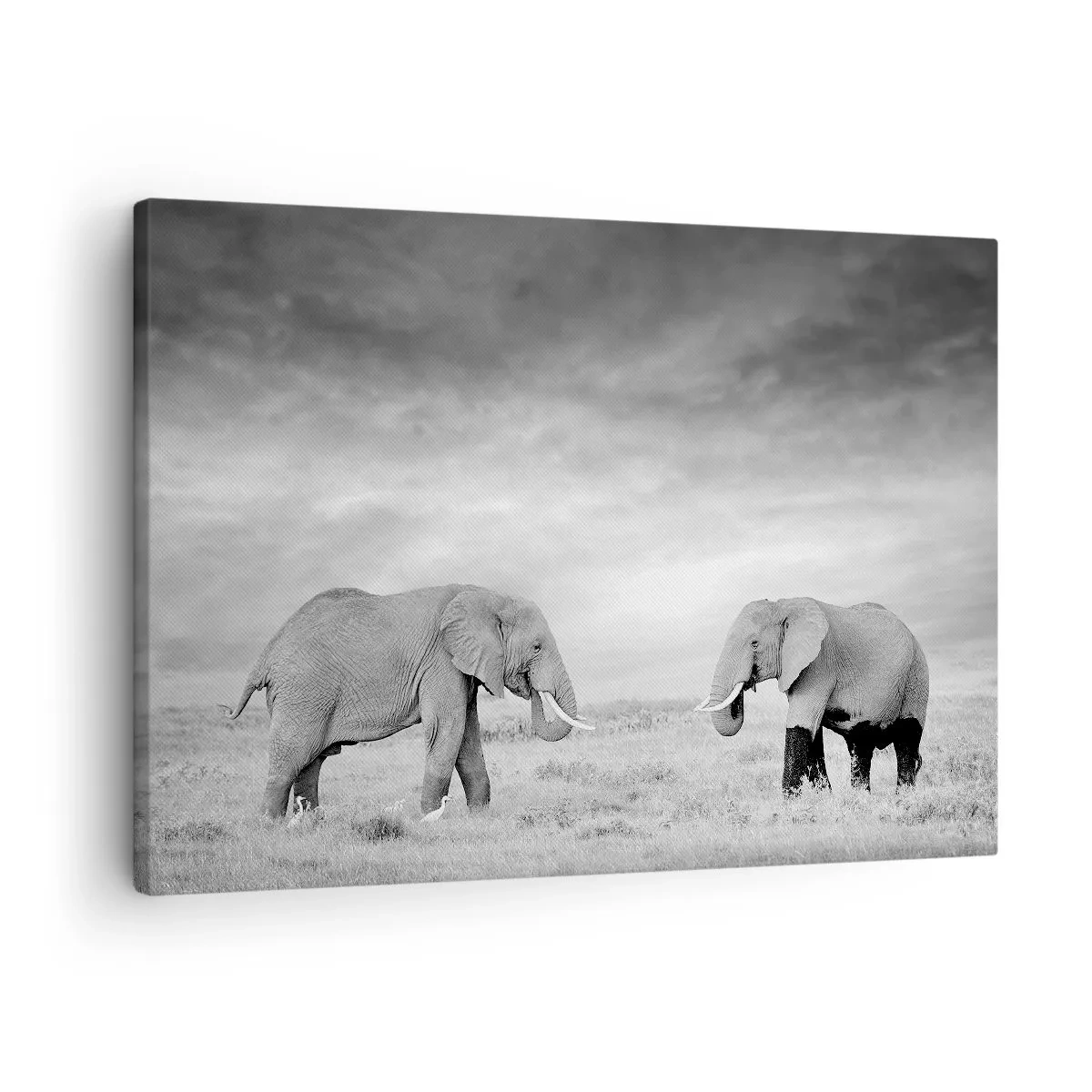 Schilderen op canvas - Grijs is mooi - 70x50 cm