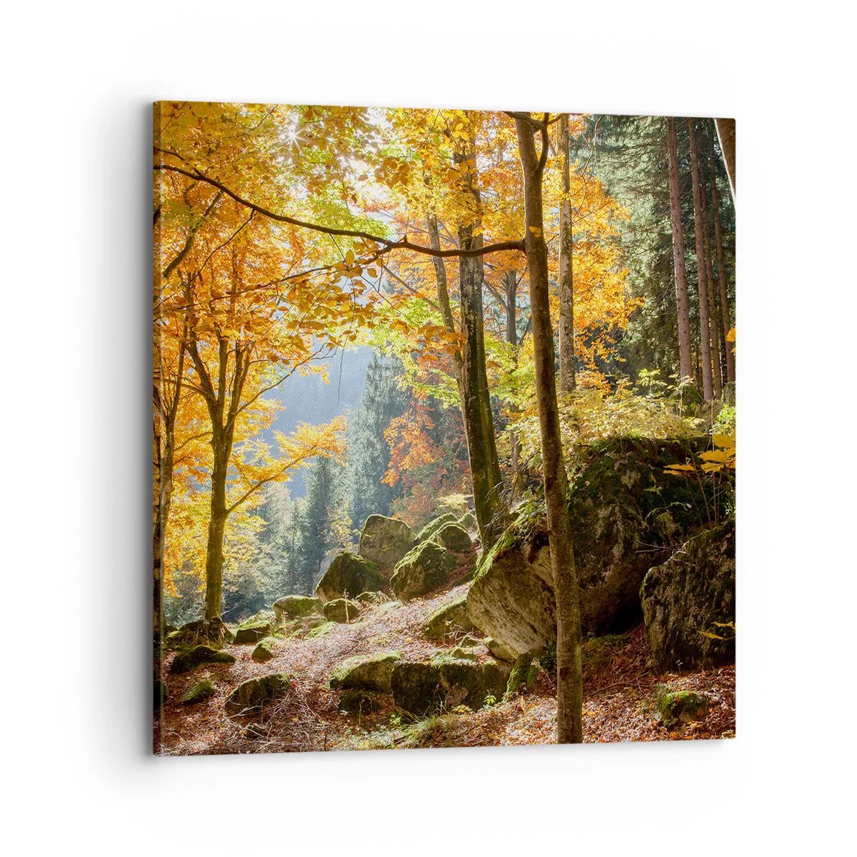 Schilderen op canvas - Tijd om te ontspannen - 70x70 cm