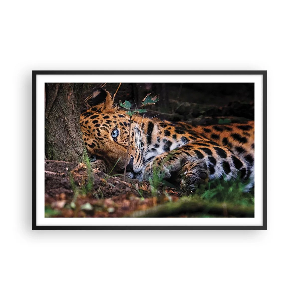 Poster in een zwarte lijst - Geloof me - 91x61 cm