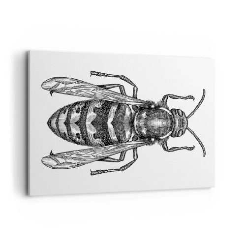 Schilderen op canvas - Van een insectenplaneet - 100x70 cm