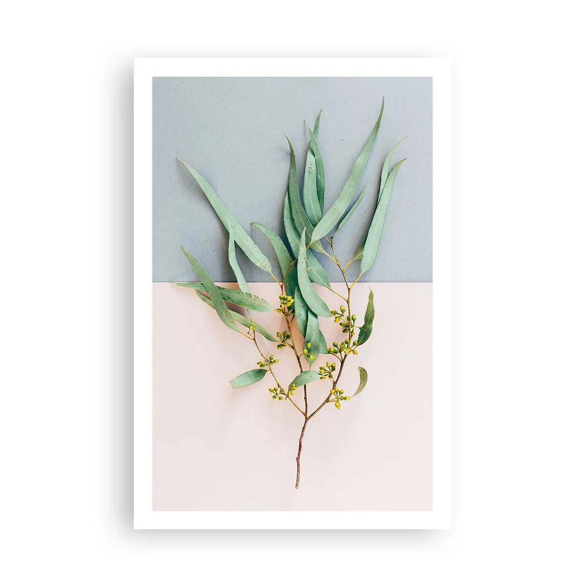 Poster - Subtiliteit in pastelkleuren - 61x91 cm