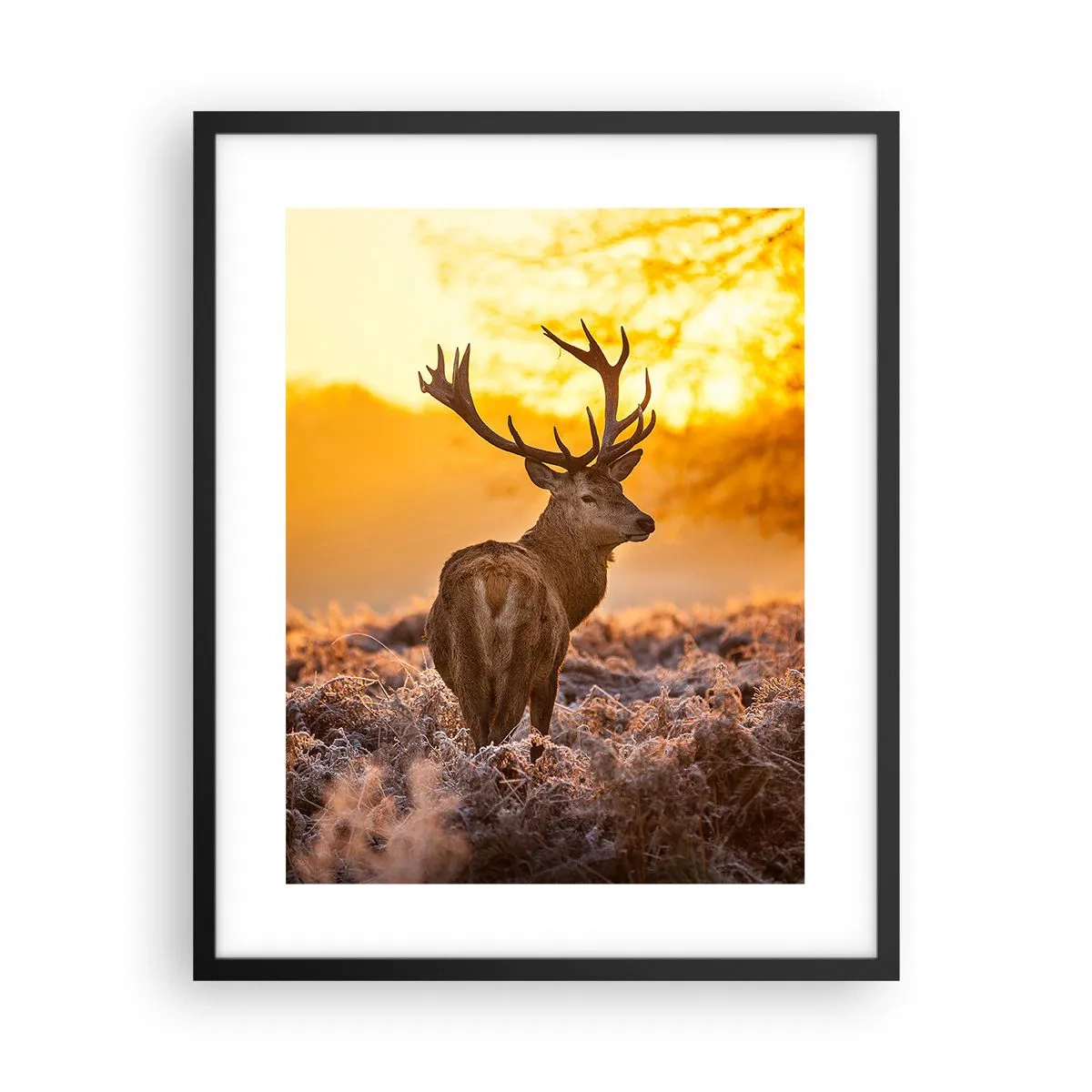 Poster in een zwarte lijst - Koning van het herfstbos - 40x50 cm