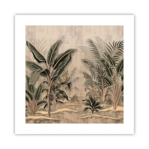 Poster - Een gravure in koloniale stijl - 40x40 cm