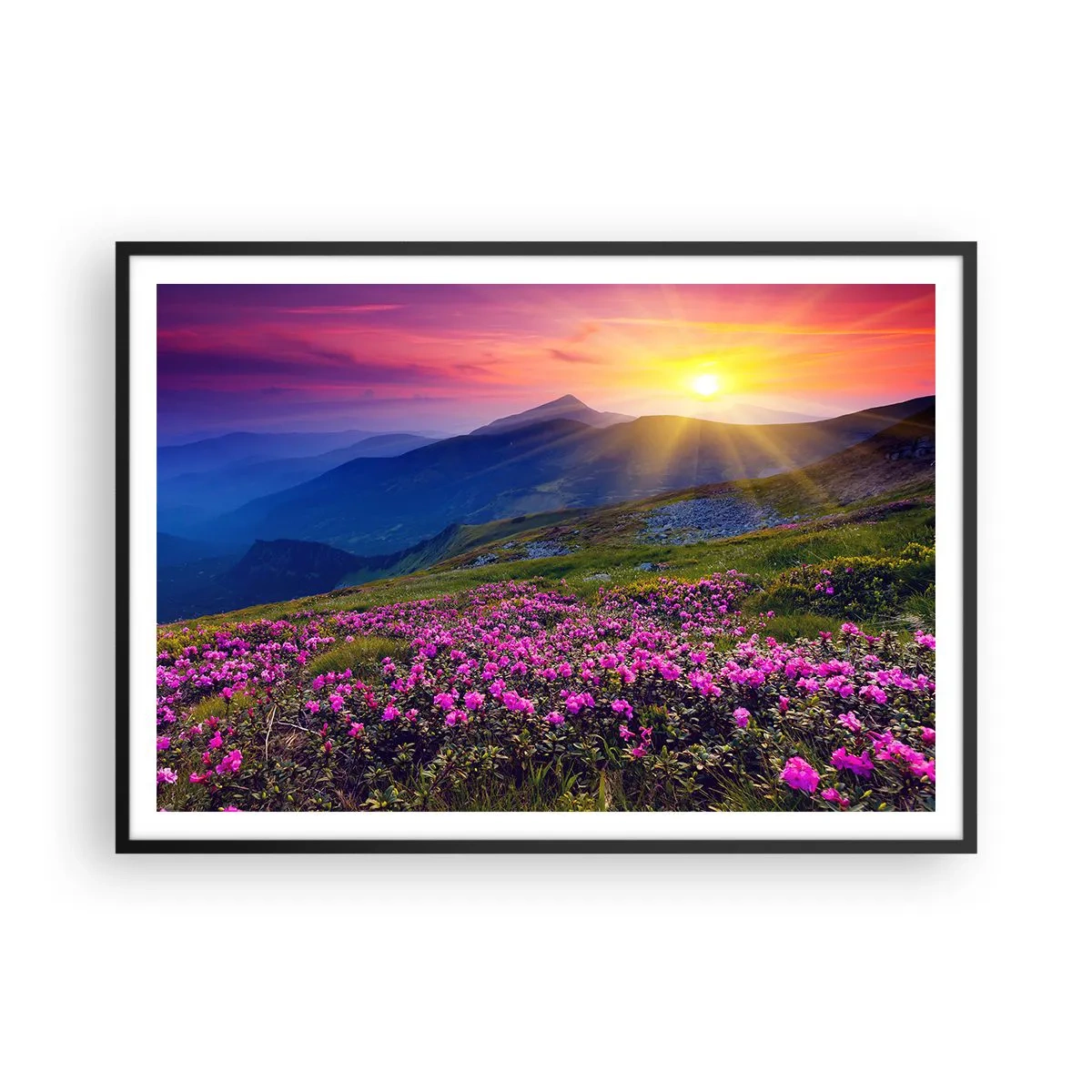 Poster in een zwarte lijst - … En eromheen ruikt het naar bergdennen en de geur van kruiden - 100x70 cm