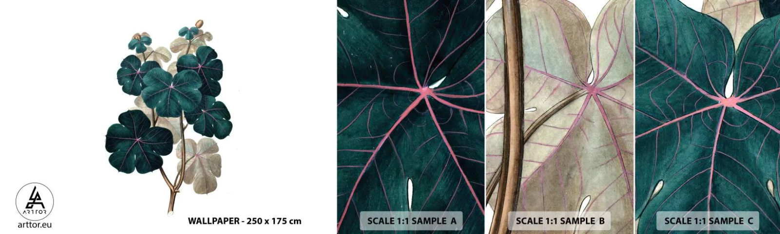 Fotobehang Monster Zelfklevend Deluxe Sticker - Uit het oude herbarium - Plant, Bladeren, Plantkunde - 100x30 cm