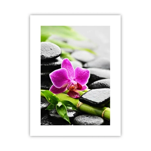 Poster - In een vrede evenwicht - 30x40 cm