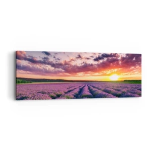 Schilderen op canvas - Lavendel wereld - 90x30 cm