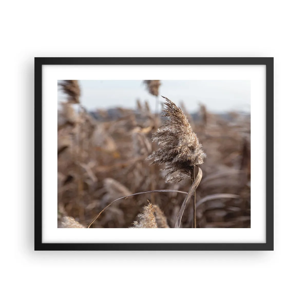 Poster in een zwarte lijst - Tijd om met de wind mee te gaan - 50x40 cm