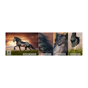 Fotobehang Monster Premium Canvas - Zwarte Prins - Dieren, Arabisch paard, Landschap - 100x30 cm