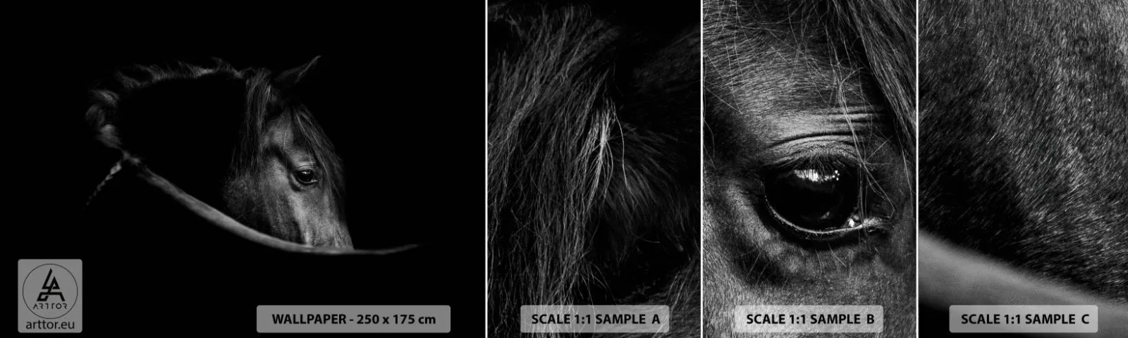 Fotobehang Monster Zelfklevend Deluxe Sticker - Zwarte Prins - Paard, Dier, Artistiek - 100x30 cm