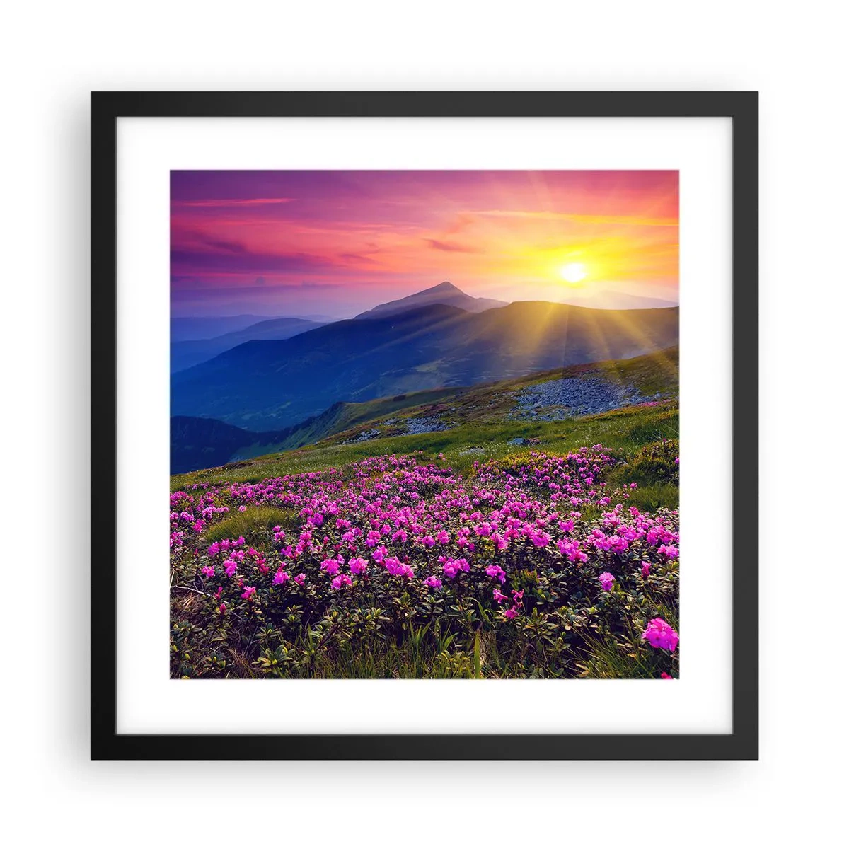 Poster in een zwarte lijst - … En eromheen ruikt het naar bergdennen en de geur van kruiden - 40x40 cm