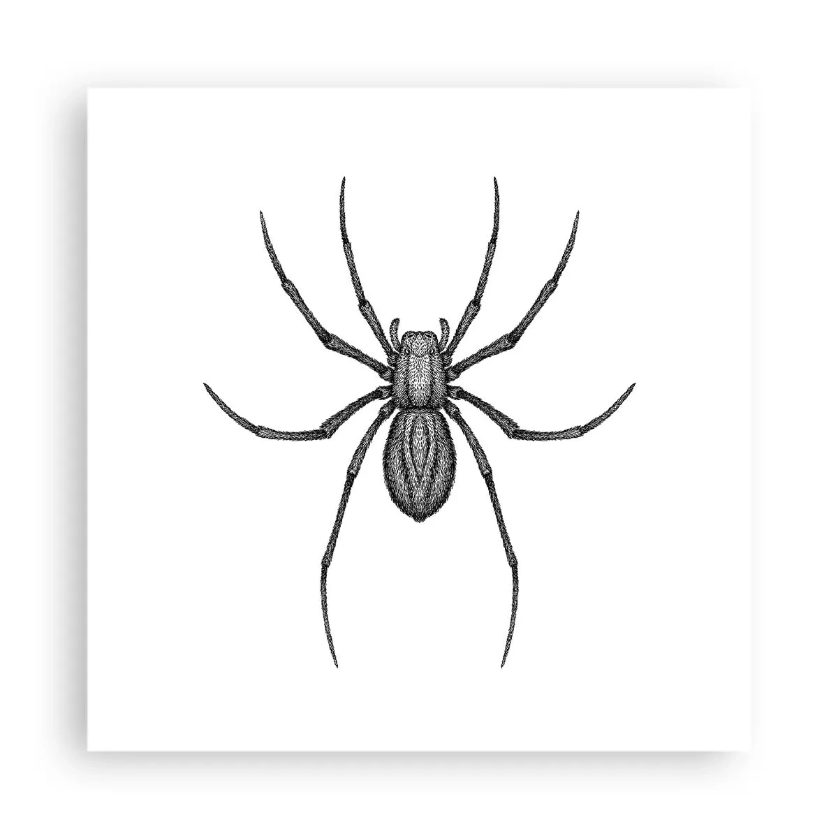 Poster - Verontrustende precisie - 40x40 cm