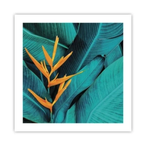 Poster - Eden bloem - 50x50 cm