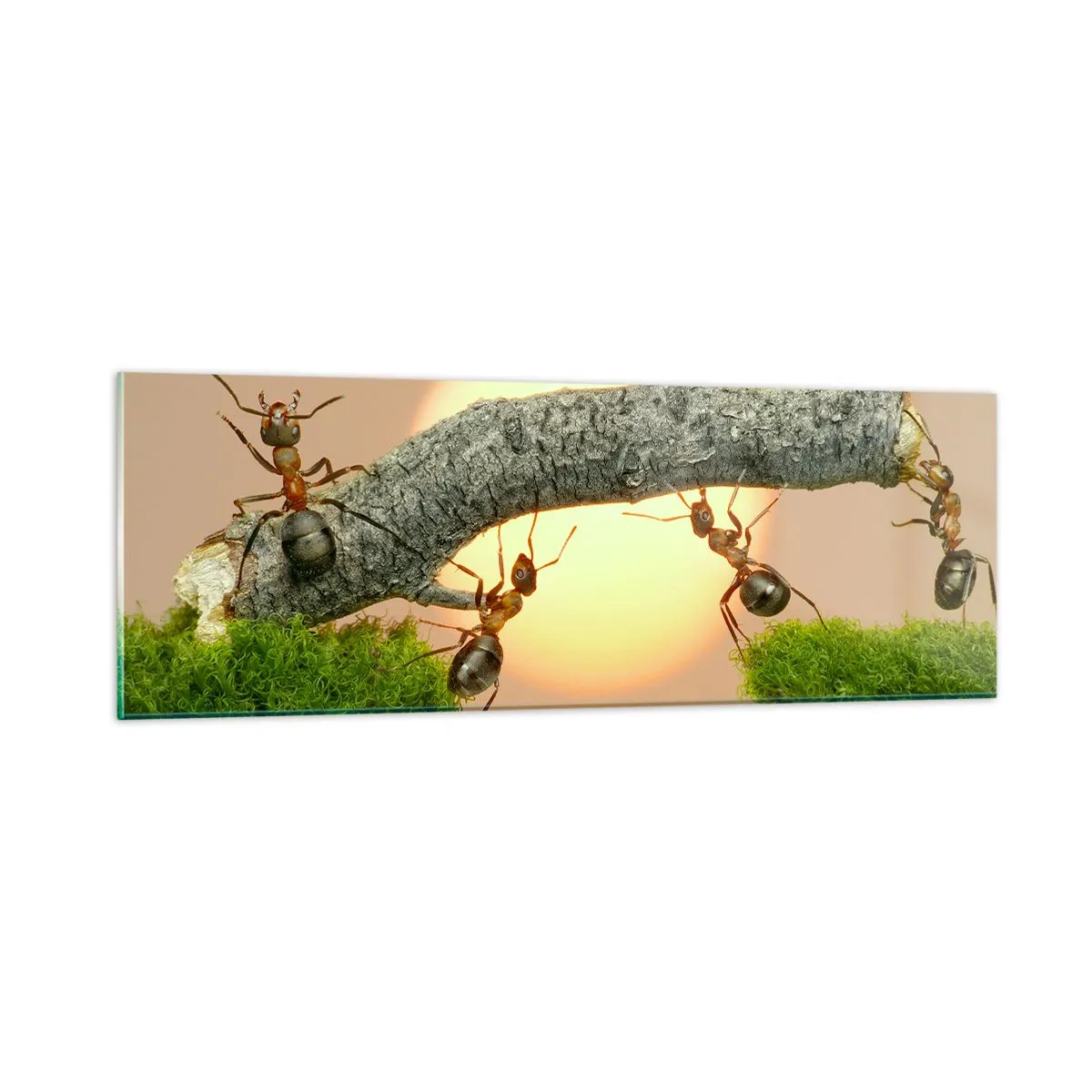 Schilderen op glas - Gelukkig samenwerken - 90x30 cm