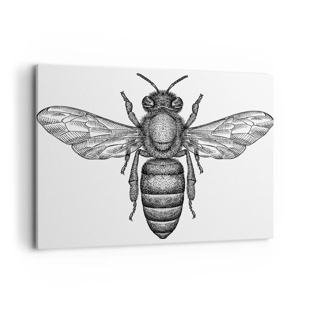 Schilderen op canvas - Insectenportret - 100x70 cm