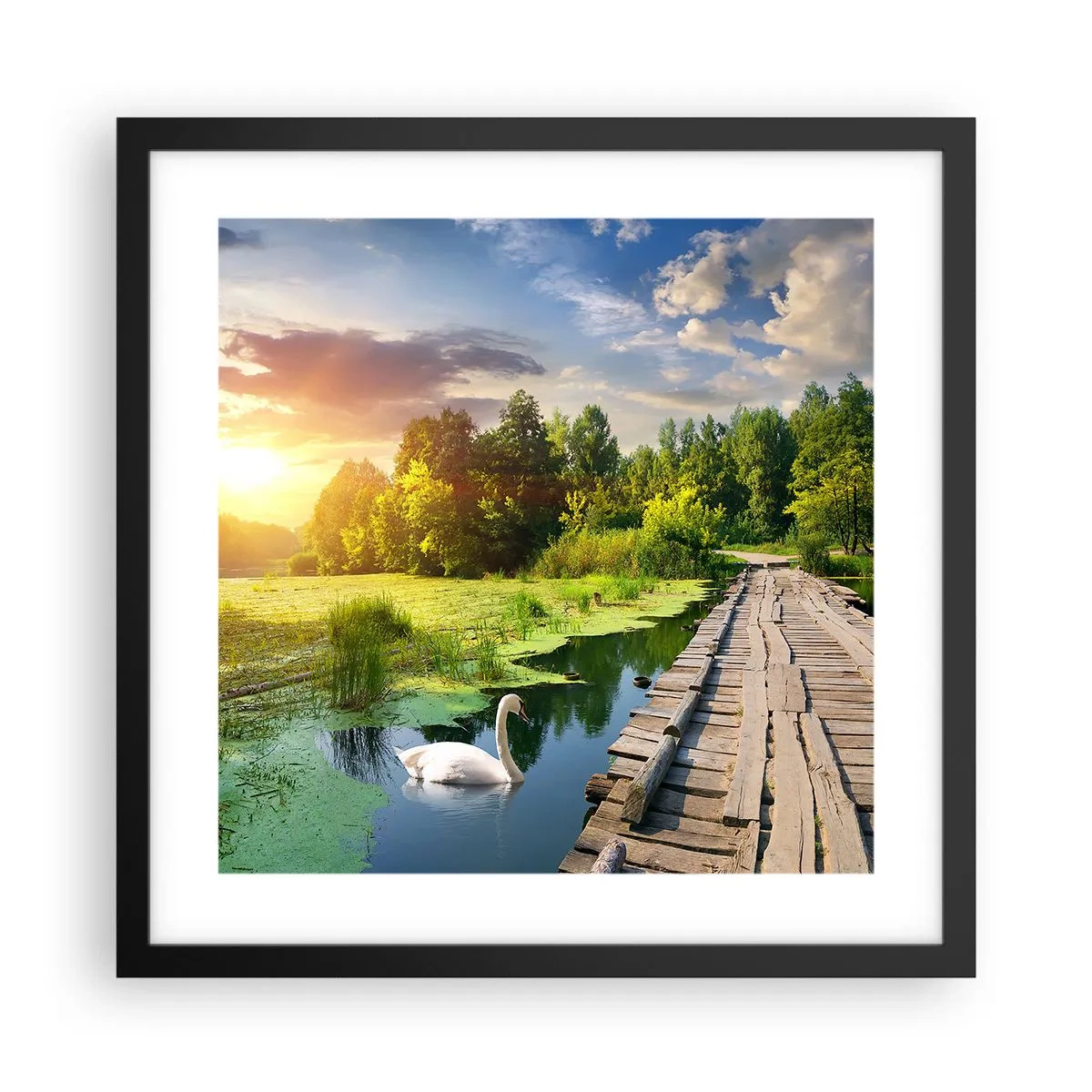 Poster in een zwarte lijst - Zomer, zomer overal - 40x40 cm