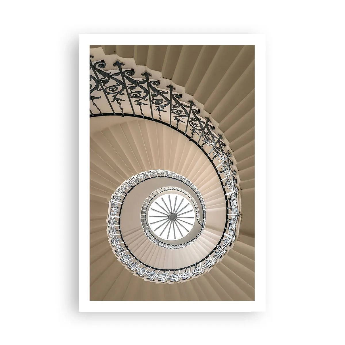 Poster - Binnenin de schaal - 61x91 cm