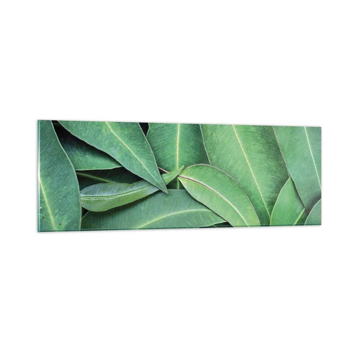 Schilderen op glas - Sappig en fris - 90x30 cm