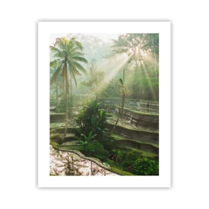 Poster - Opgroeien in de zon - 40x50 cm