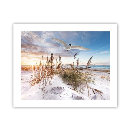 Poster - Wind uit zee - 50x40 cm