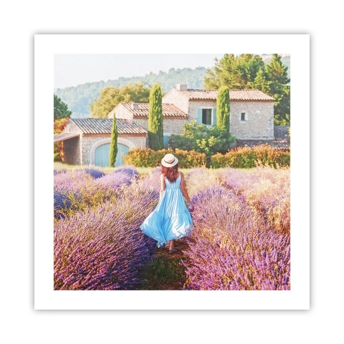 Poster - Lavendel meisje - 50x50 cm