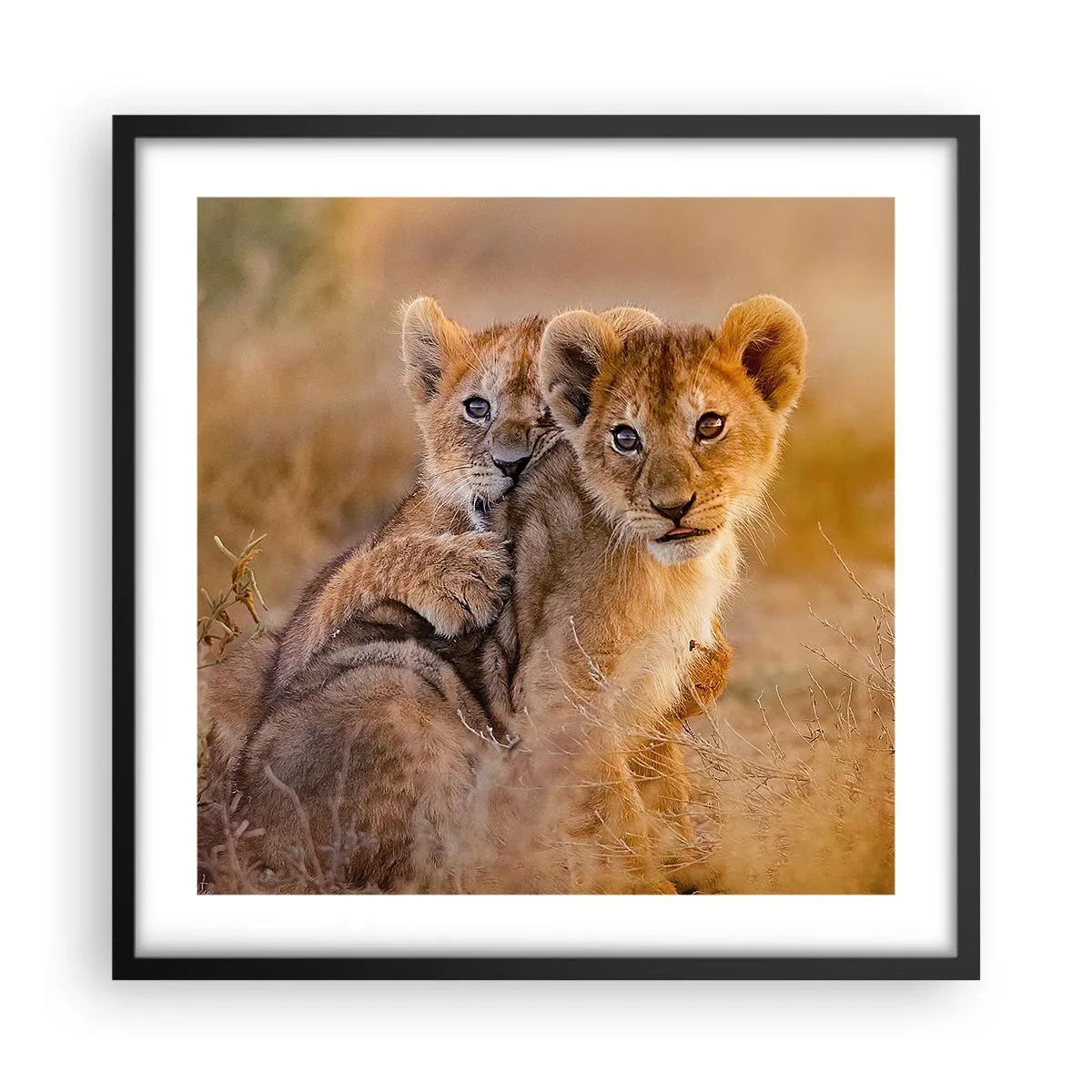 Poster in een zwarte lijst - Niet storen! We hebben plezier - 50x50 cm