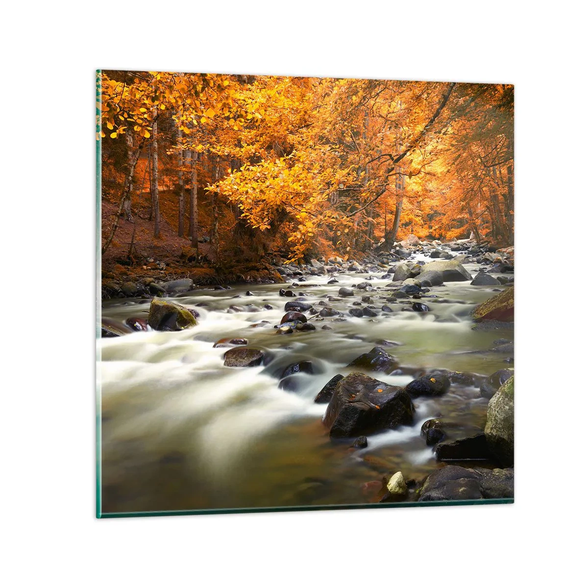 Schilderen op glas - Een stroom in een gouden bos - 60x60 cm