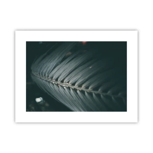 Poster - De precisie van de natuur - 40x30 cm