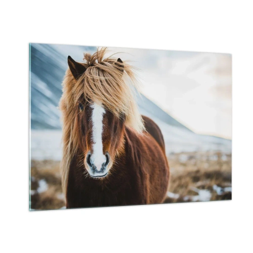 Schilderen op glas - Voel jij je vrij? - 100x70 cm