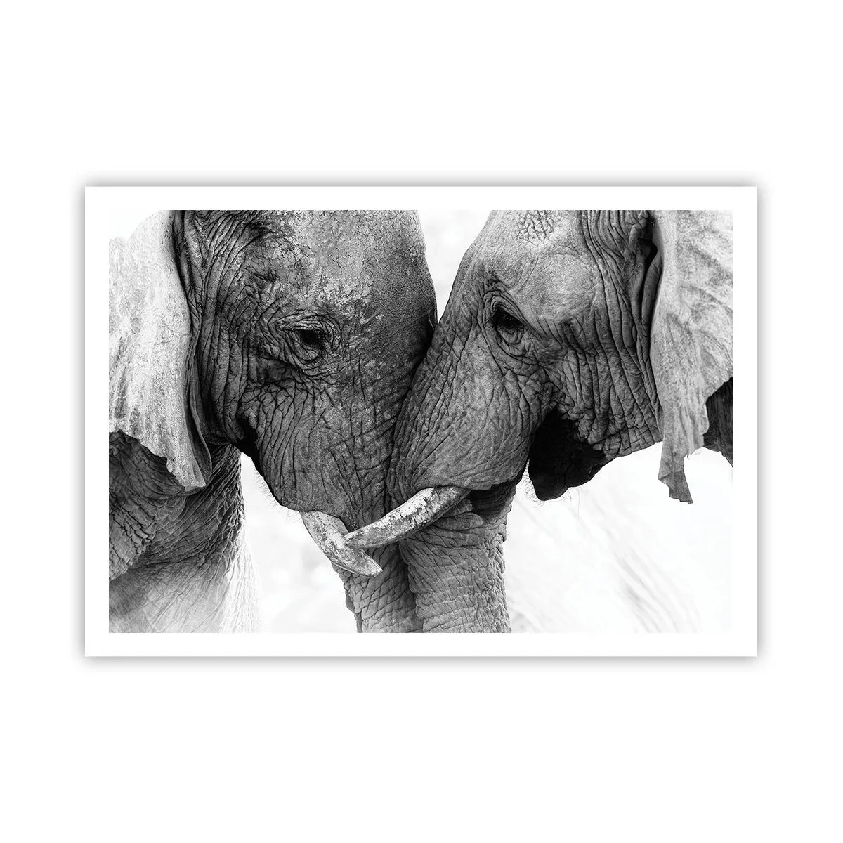Poster - Oprechte bekentenis - 100x70 cm