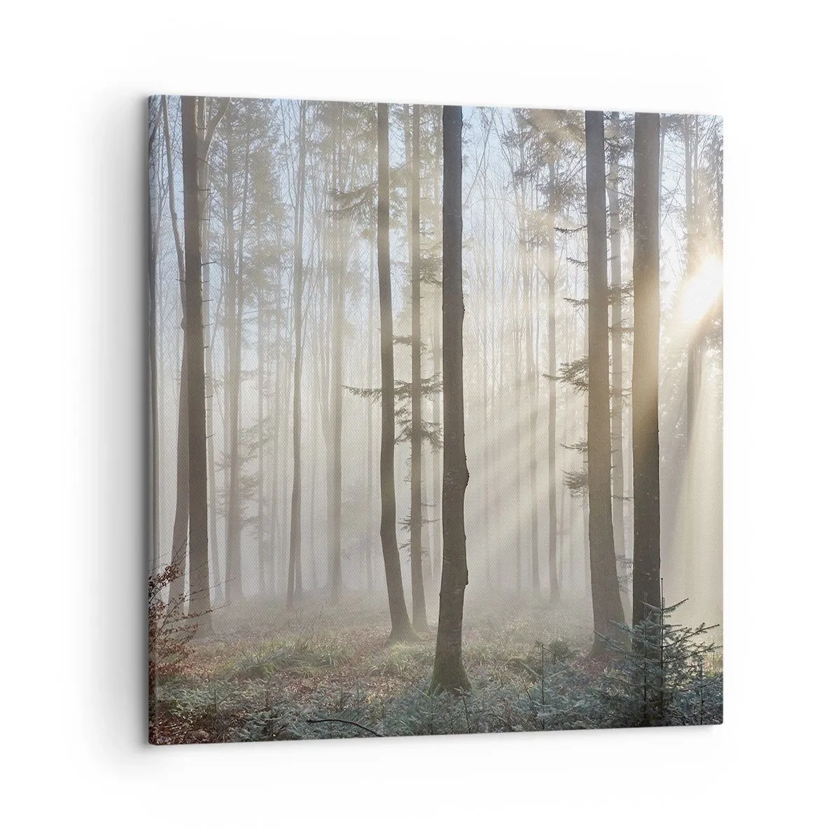 Schilderen op canvas - De mist werd ook wakker - 50x50 cm