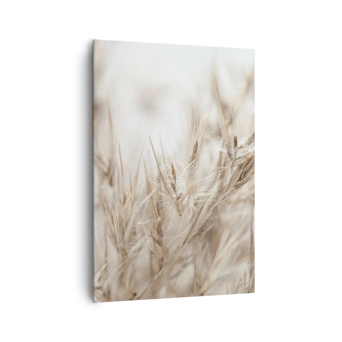 Schilderen op canvas - Weide en wind - 70x100 cm