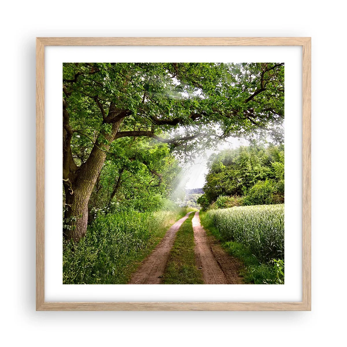 Een poster in een licht eiken lijst - Et in Arcadia ego - 50x50 cm