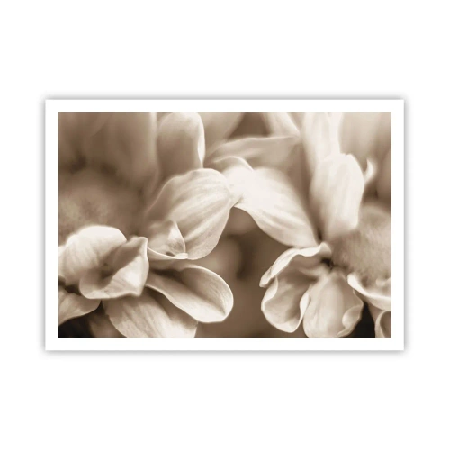 Poster - Zo zacht als een glimlach - 100x70 cm