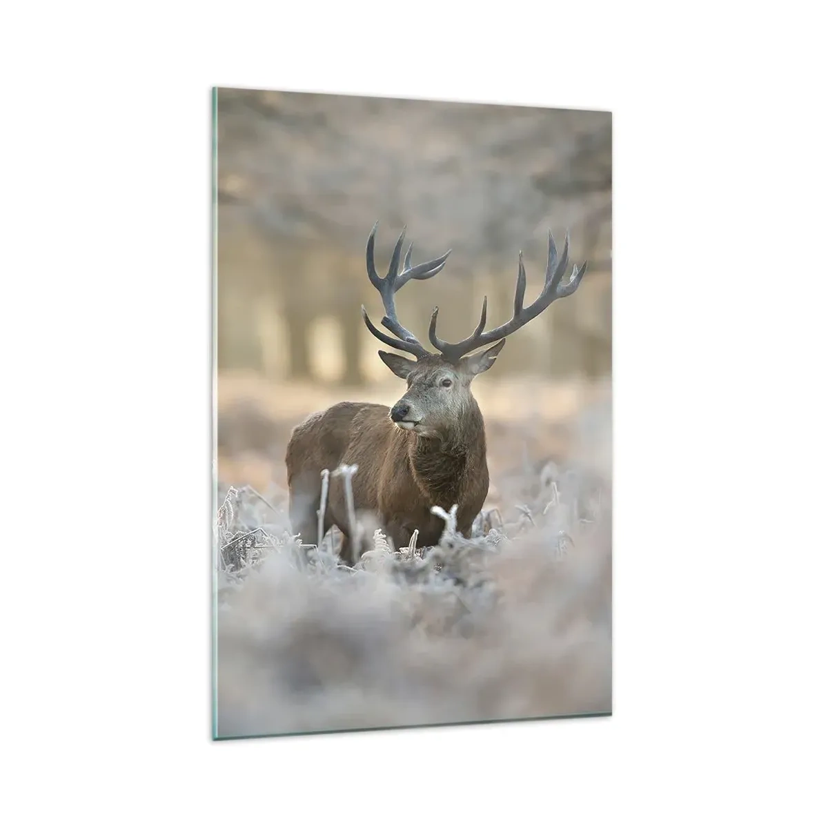 Schilderen op glas - Een frisse ochtend - 80x120 cm