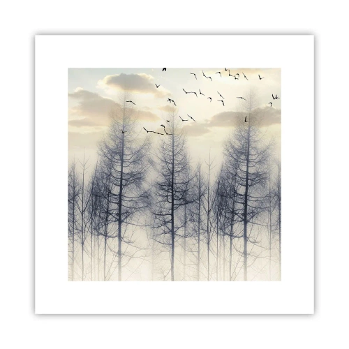 Poster - Bosgeesten - 30x30 cm