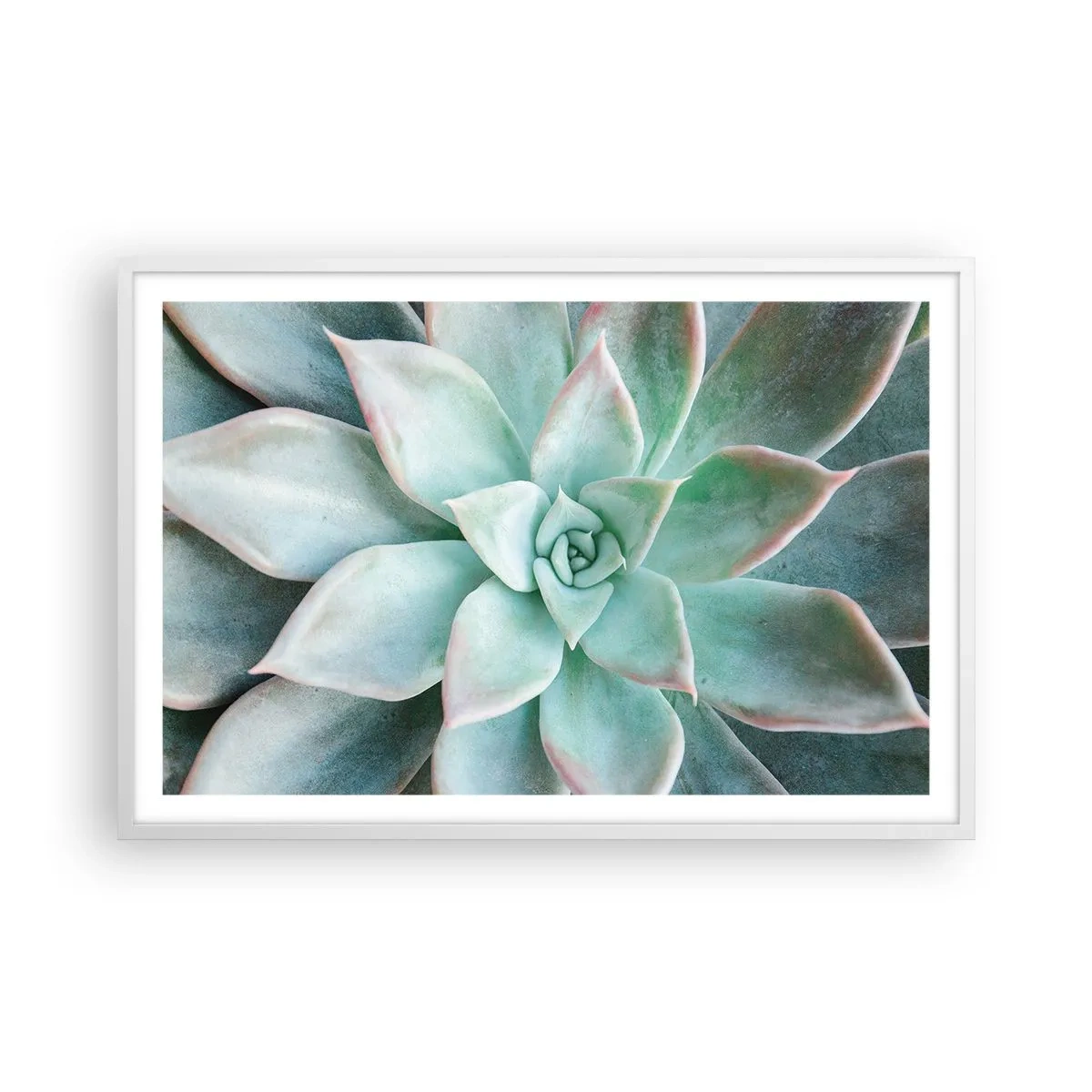 Poster in een witte lijst - Het hart van de woestijn - 91x61 cm