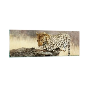 Schilderen op glas - Ik ga mijn eigen weg - 90x30 cm