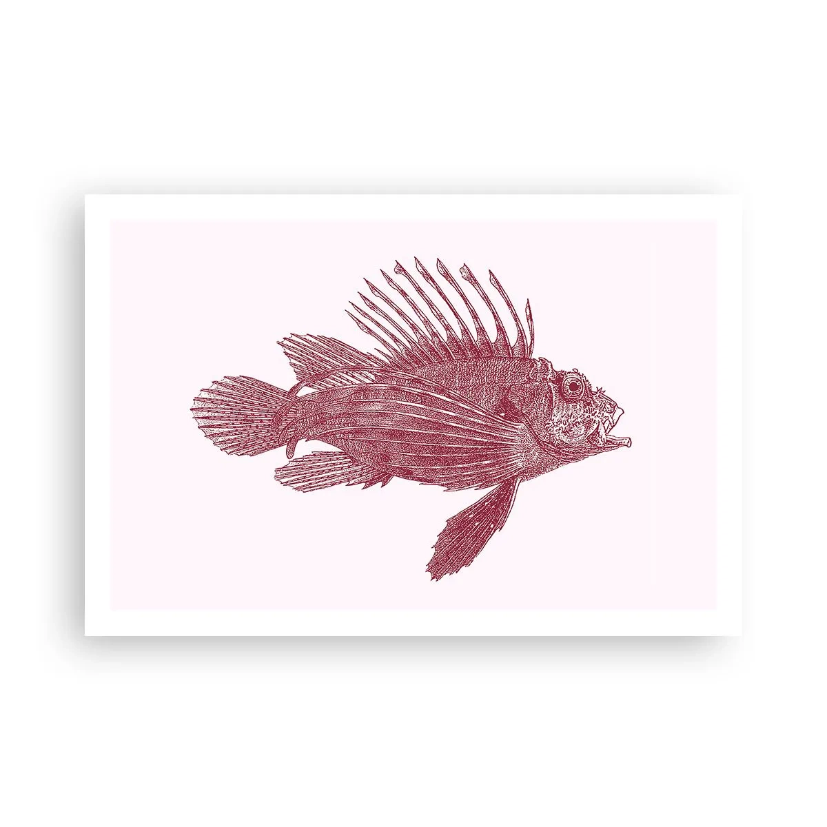 Poster - Inwoner van exotische wateren - 91x61 cm